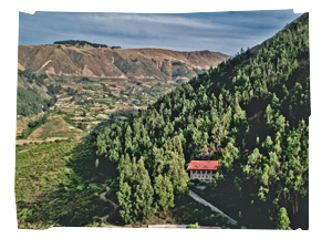 img_240X260