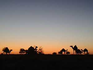 img_240X260