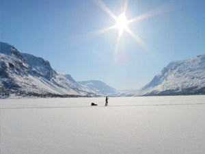 img_240X260